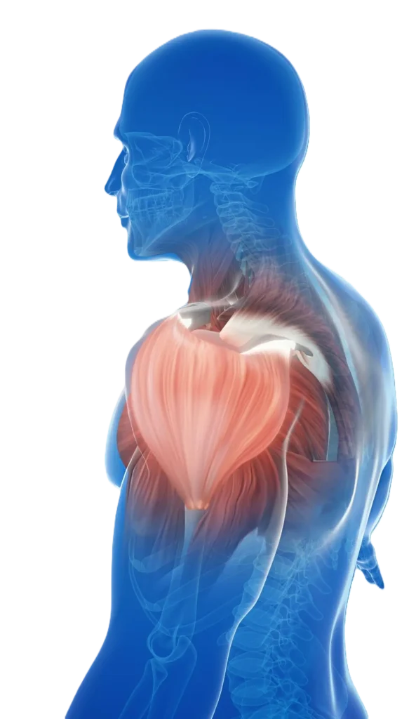puremotionchiropractic-sports-massage-dark-block-img01