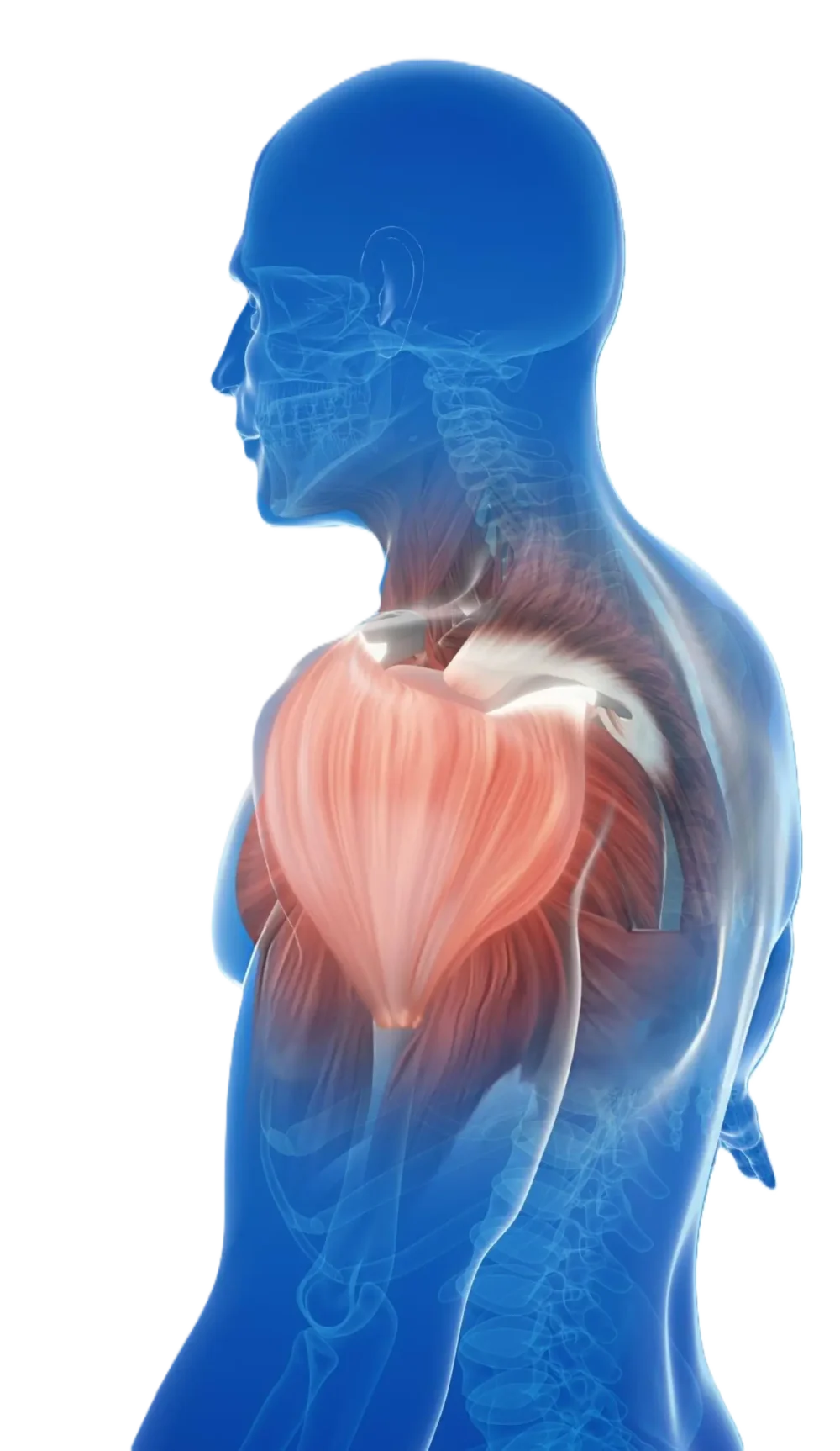 puremotionchiropractic-sports-massage-dark-block-img01