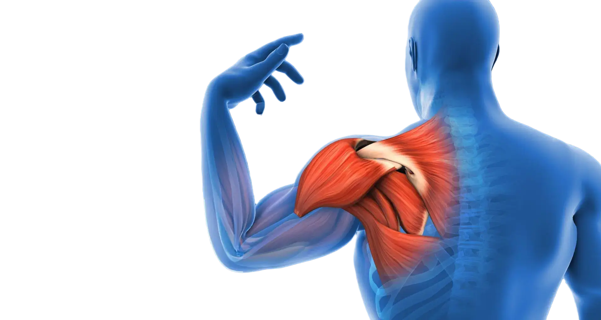 puremotionchiropractic-sports-massage-dark-block-img01