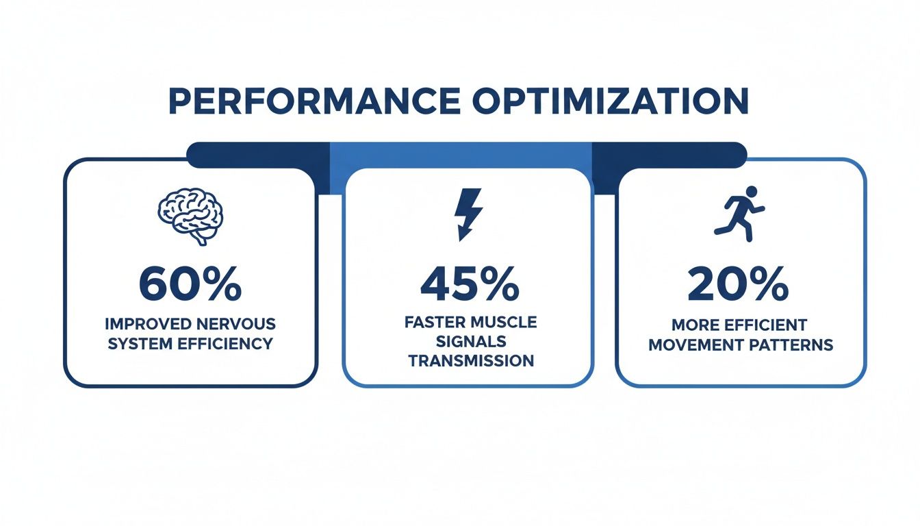 Performance optimization graphic showing 60% improved nervous system, 45% faster muscle signals, and 20% more efficient movement.